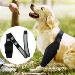 Dog Knee Support Recovery Sleeve Neoprene OEM Orthopedic Dog Knee Brace for ACL Back Front Leg(JD002DC) - Image 6