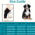 Neoprene Dog Compression Brace Sleeve with Straps for Heals and Prevents Injuries and Sprains Helps Arthritis(JD003DC) - Image 4