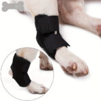 Dog Short Leg Knee Brace Support Recovery Sleeve Neoprene OEM Orthopedic Dog Knee Brace for ACL Back Front Leg(JD001DC)