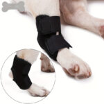 Dog Short Leg Knee Brace Support Recovery Sleeve Neoprene OEM Orthopedic Dog Knee Brace for ACL Back Front Leg(JD001DC)