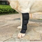 Neoprene Dog Compression Brace Sleeve with Straps for Heals and Prevents Injuries and Sprains Helps Arthritis(JD003DC) - Image 6