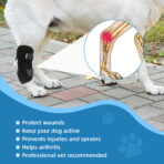 Dog Short Leg Knee Brace Support Recovery Sleeve Neoprene OEM Orthopedic Dog Knee Brace for ACL Back Front Leg(JD001DC) - Image 7