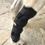 Neoprene Dog Compression Brace Sleeve with Straps for Heals and Prevents Injuries and Sprains Helps Arthritis(JD003DC) - Image 5