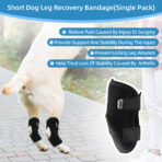 Dog Short Leg Knee Brace Support Recovery Sleeve Neoprene OEM Orthopedic Dog Knee Brace for ACL Back Front Leg(JD001DC) - Image 2