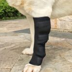 Neoprene Dog Compression Brace Sleeve with Straps for Heals and Prevents Injuries and Sprains Helps Arthritis(JD003DC) - Image 2