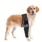 Dog Knee Support Recovery Sleeve Neoprene OEM Orthopedic Dog Knee Brace for ACL Back Front Leg(JD002DC)