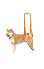 Rear Leg Assist Harness Senior Older Dogs Disabled Dogs Rehabilitation Exercise Harnesses Upstairs Assistance Harnesses（JD007DC）