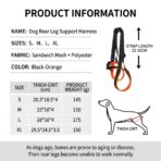 Portable Pet Dog Hind Leg Rehabilitation Belts Adjustable Support Straps for Injury Disability Elderly Dogs Walking Aids（JD010DC） - Image 7