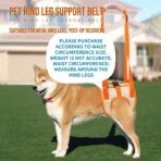 Rear Leg Assist Harness Senior Older Dogs Disabled Dogs Rehabilitation Exercise Harnesses Upstairs Assistance Harnesses（JD007DC） - Image 5