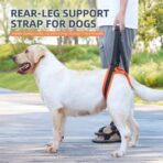 Portable Pet Dog Hind Leg Rehabilitation Belts Adjustable Support Straps for Injury Disability Elderly Dogs Walking Aids（JD010DC） - Image 3