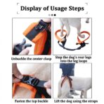 Portable Pet Dog Hind Leg Rehabilitation Belts Adjustable Support Straps for Injury Disability Elderly Dogs Walking Aids（JD010DC） - Image 6