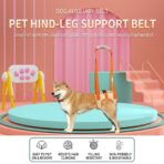 Rear Leg Assist Harness Senior Older Dogs Disabled Dogs Rehabilitation Exercise Harnesses Upstairs Assistance Harnesses（JD007DC） - Image 7