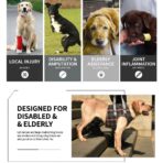 Adjustable Portable Polyester Dog Lift Harness Breathable Plaid Elderly Disable Rehabilitation Pet Leg Support for Front Back（JD006DC） - Image 7