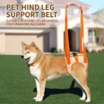 Rear Leg Assist Harness Senior Older Dogs Disabled Dogs Rehabilitation Exercise Harnesses Upstairs Assistance Harnesses（JD007DC） - Image 2