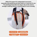 Portable Pet Dog Hind Leg Rehabilitation Belts Adjustable Support Straps for Injury Disability Elderly Dogs Walking Aids（JD010DC） - Image 8