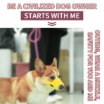 Nylon Mesh Dog Muzzle with Adjustable Straps Breathable Design for Outdoor Use（JD009DC） - Image 4