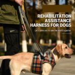 Adjustable Portable Polyester Dog Lift Harness Breathable Plaid Elderly Disable Rehabilitation Pet Leg Support for Front Back（JD006DC） - Image 5