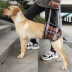 Adjustable Portable Polyester Dog Lift Harness Breathable Plaid Elderly Disable Rehabilitation Pet Leg Support for Front Back（JD006DC） - Image 3