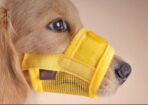 Nylon Mesh Dog Muzzle with Adjustable Straps Breathable Design for Outdoor Use（JD009DC）