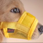 Nylon Mesh Dog Muzzle with Adjustable Straps Breathable Design for Outdoor Use（JD009DC）